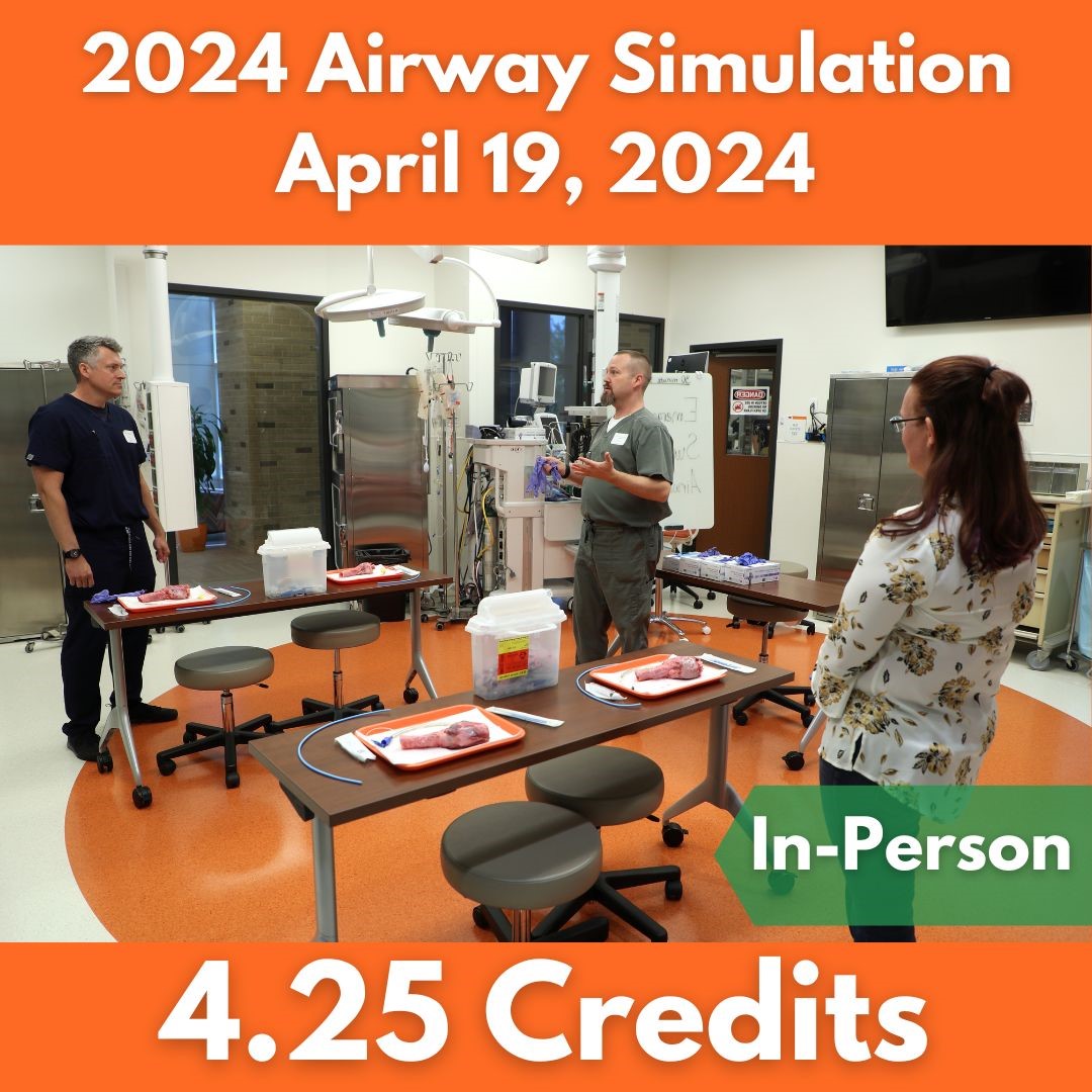 2024 Airway Simulation